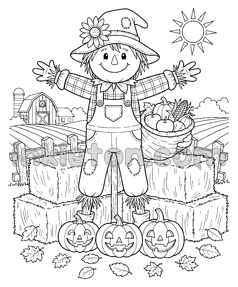 Pumpkin Patch Festival