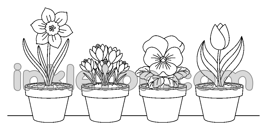 A Row of Potted Spring Flowers