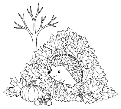 Ježek v podzimním listí