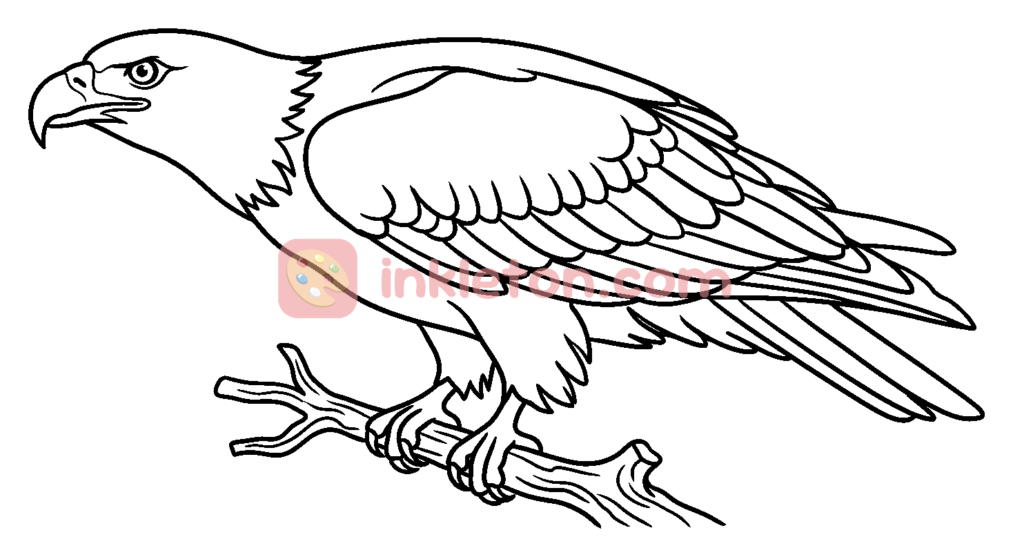 Eagle Perched on a Branch coloring page to print