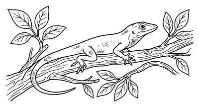 Anole Lizard on a Tree Branch coloring page to print