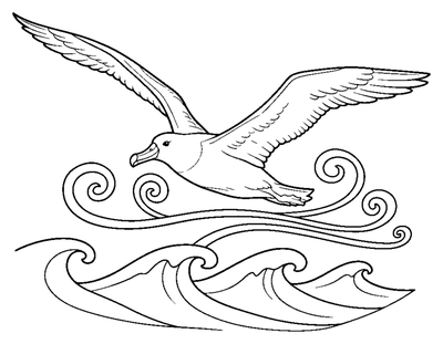 The Majestic Albatross Glide coloring page to print