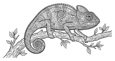 Intricate Patterned Chameleon on a Branch coloring page to print