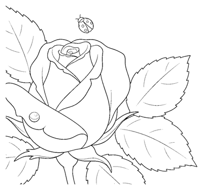 Pagina da colorare Bocciolo di rosa e bacio di rugiada da stampare