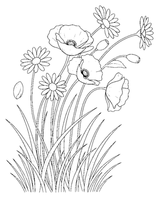 Windy Meadow Wildflowers coloring page to print