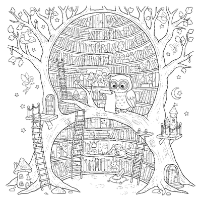 A biblioteca secreta na árvore