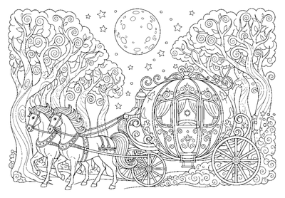 Moonlight Carriage Ride