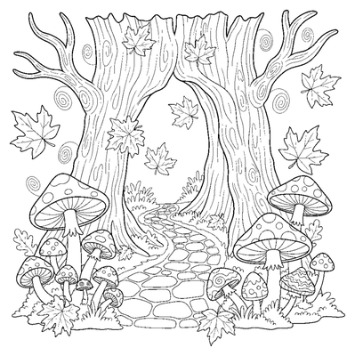 Betoverend herfstbospad