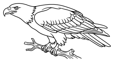Eagle Perched on a Branch coloring page to print