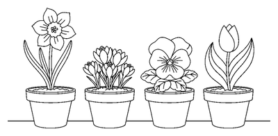 A Row of Potted Spring Flowers