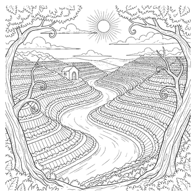 Página para colorir de As Vinhas Douradas do Douro para imprimir