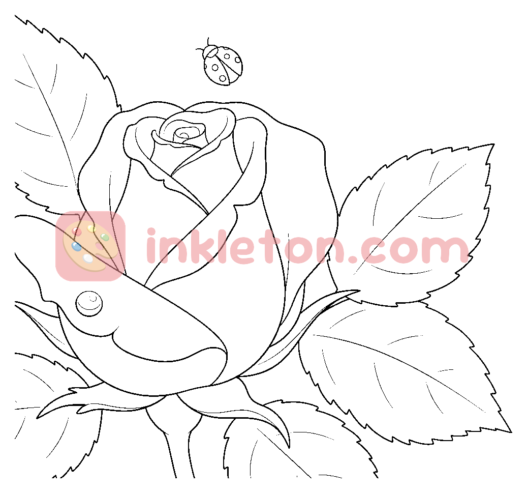 Pagina da colorare Bocciolo di rosa e bacio di rugiada da stampare